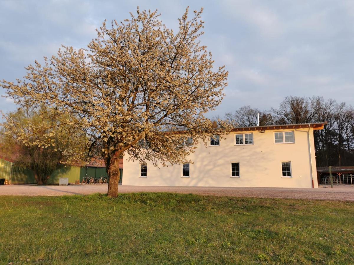 Ferienwohnung Gestuet Von Erden Haßloch Εξωτερικό φωτογραφία